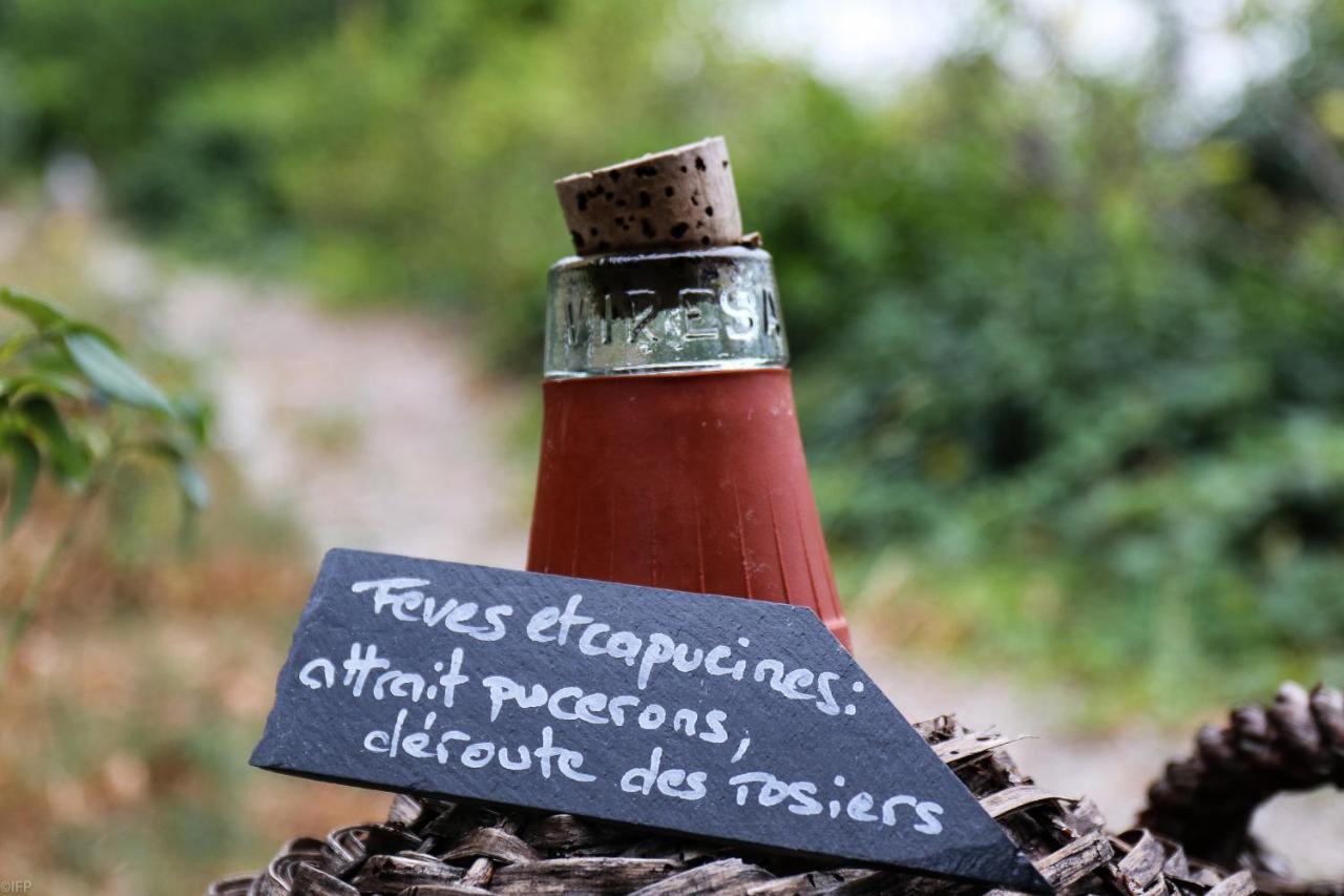 Domaine Des Tilleuls D'Or Saint-Cézaire-sur-Siagne Exterior foto