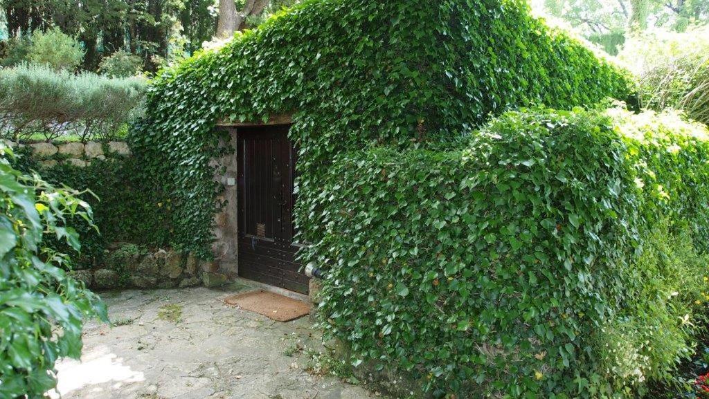 Domaine Des Tilleuls D'Or Saint-Cézaire-sur-Siagne Exterior foto