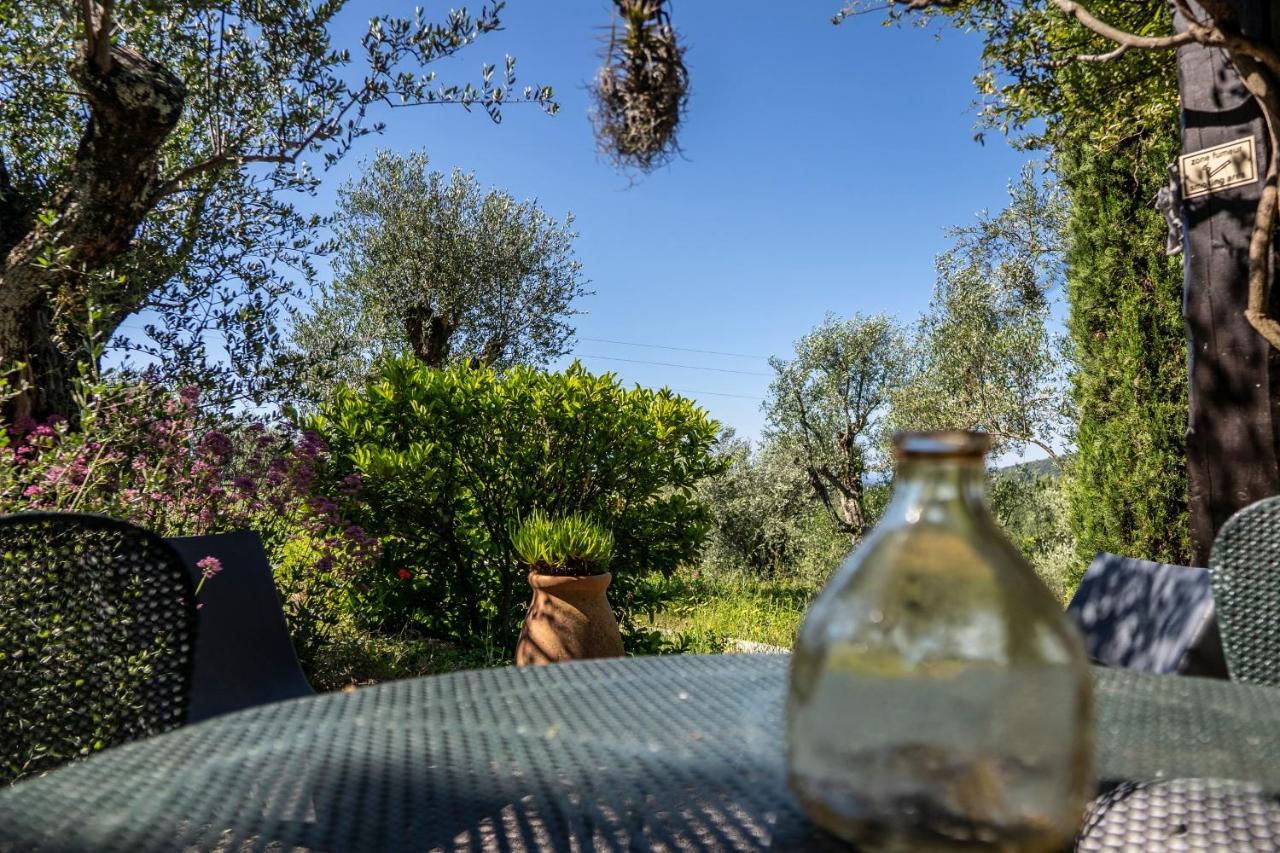 Domaine Des Tilleuls D'Or Saint-Cézaire-sur-Siagne Quarto foto